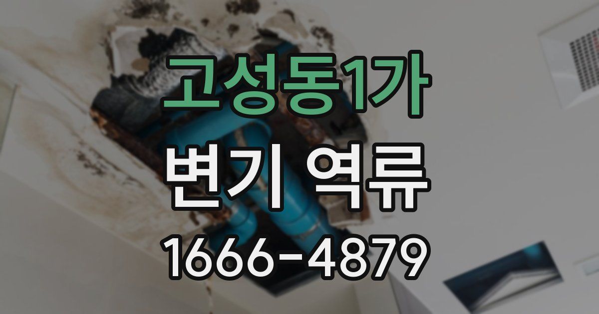 고성동1가 변기 역류