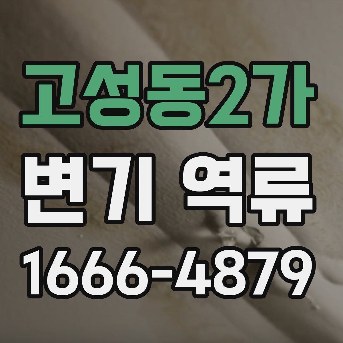 고성동2가 변기 역류