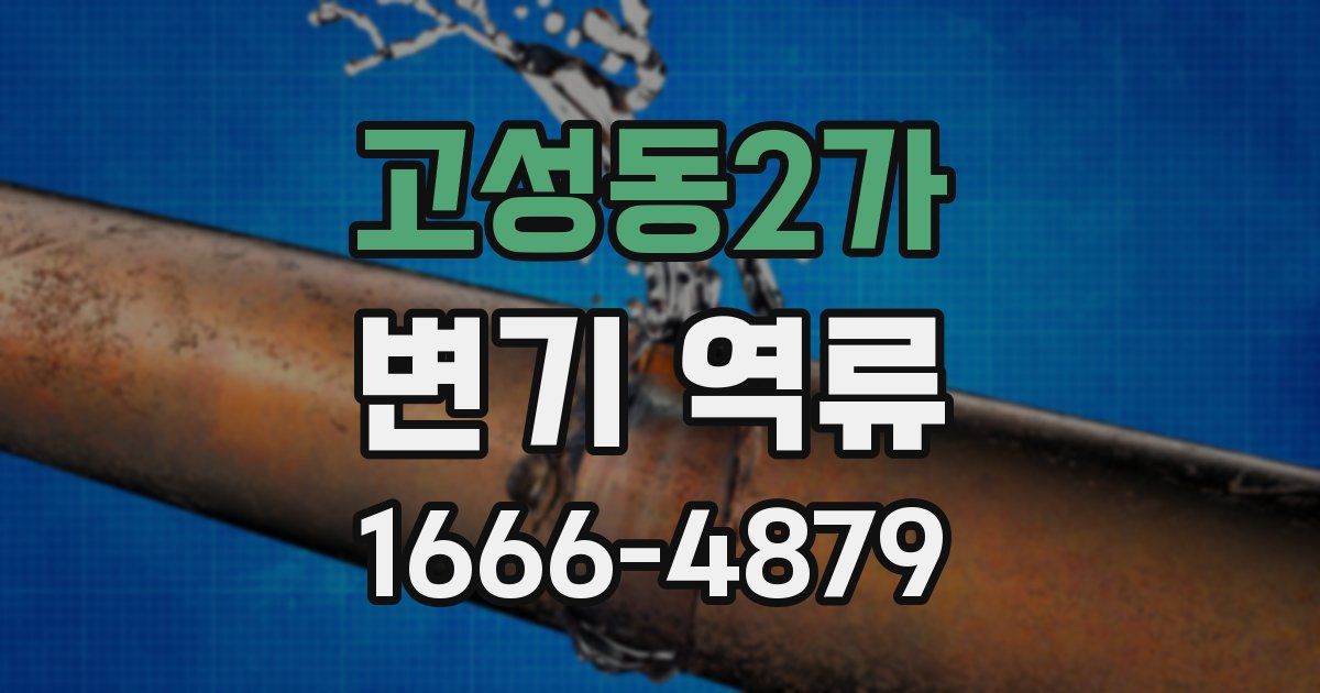 고성동2가 변기 역류