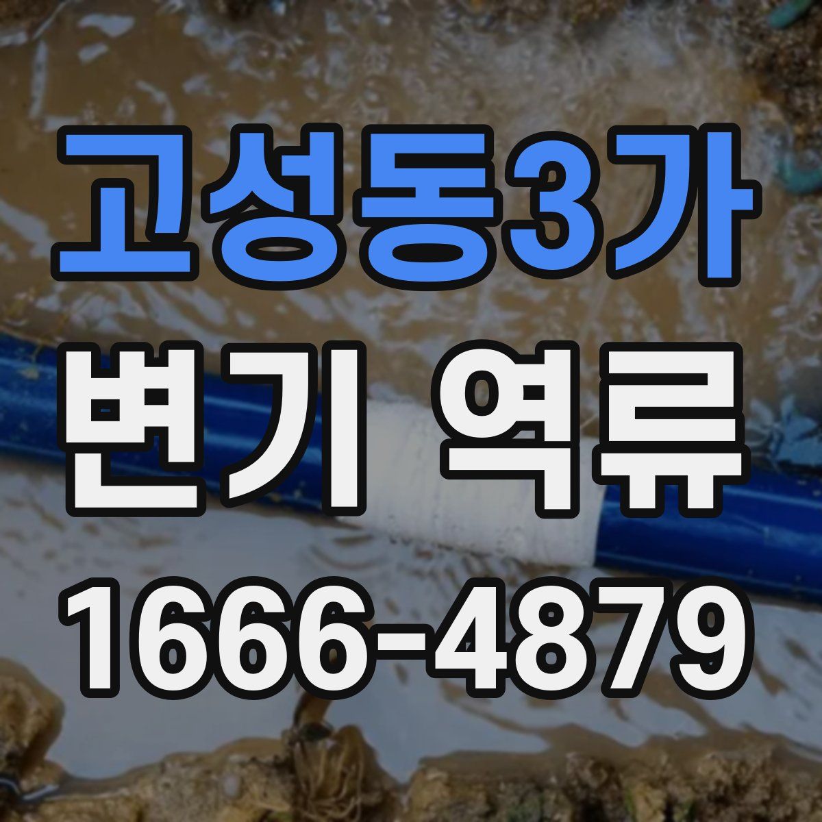 고성동3가 변기 역류