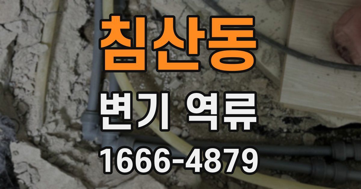 침산동 변기 역류