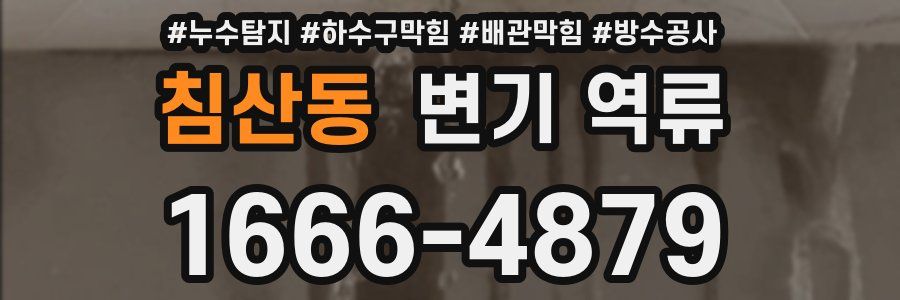 침산동 변기 역류