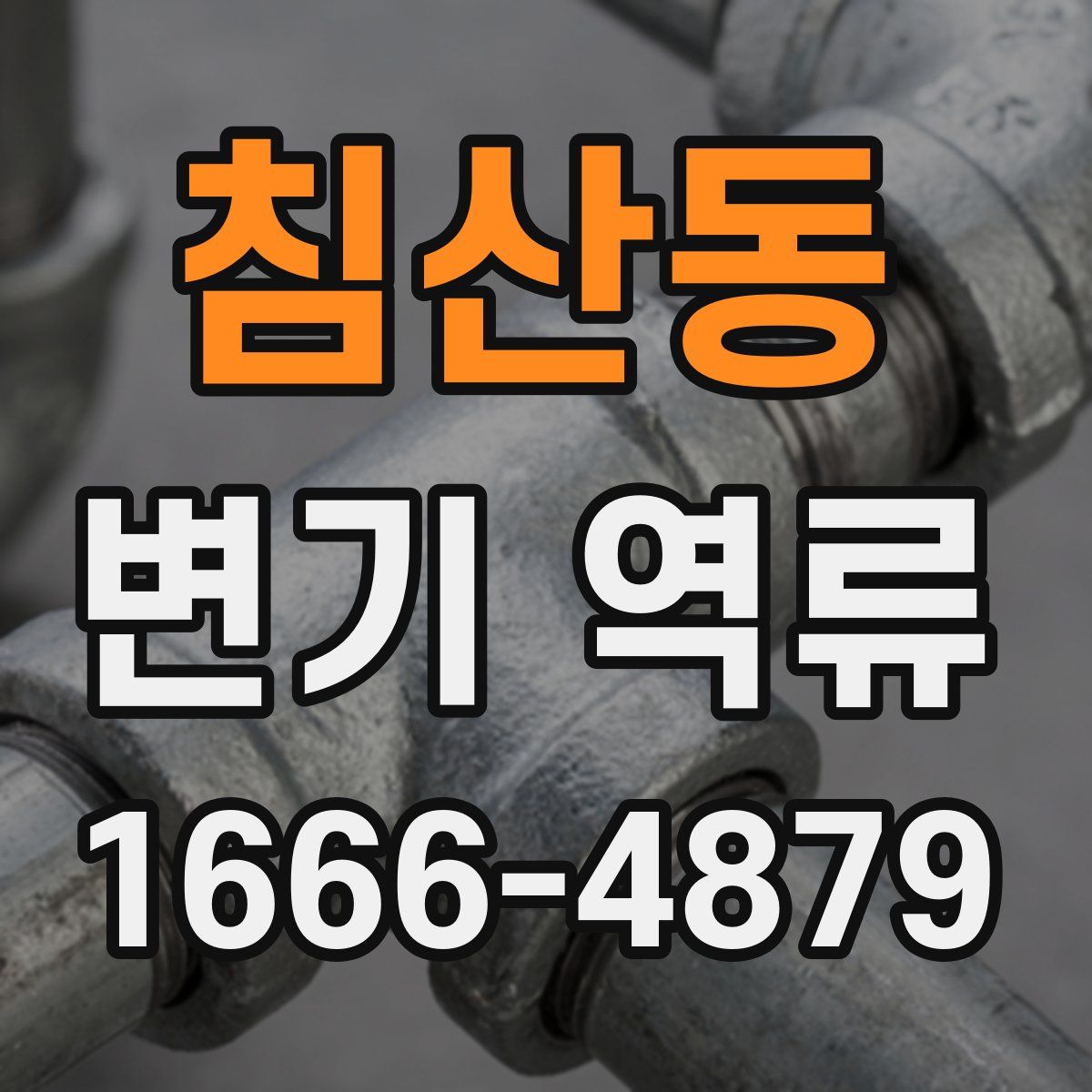침산동 변기 역류