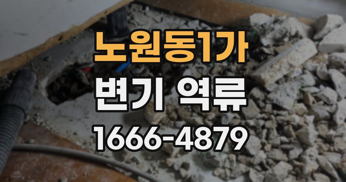노원동1가 변기 역류