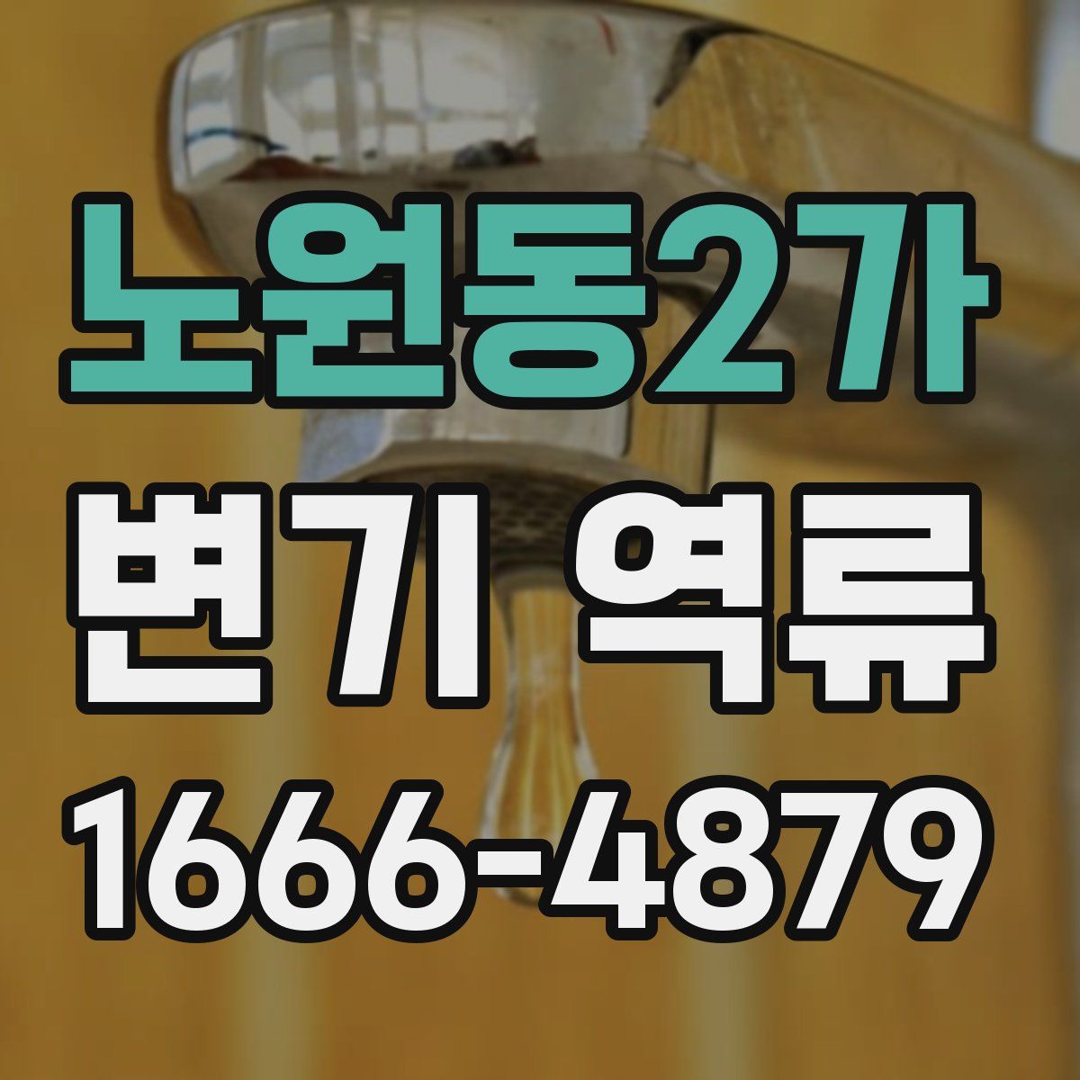 노원동2가 변기 역류
