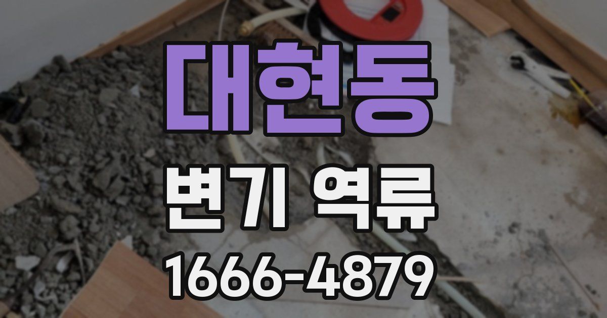 대현동 변기 역류