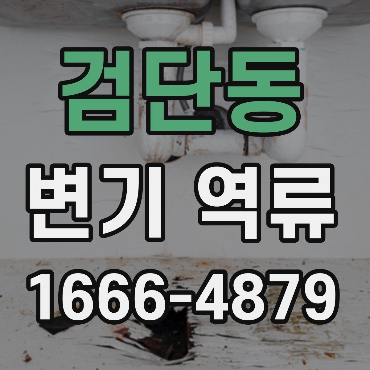 검단동 변기 역류 배수 라인 문제를 의심해야 하는 상황