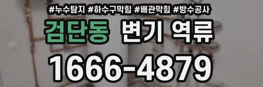검단동 변기 역류