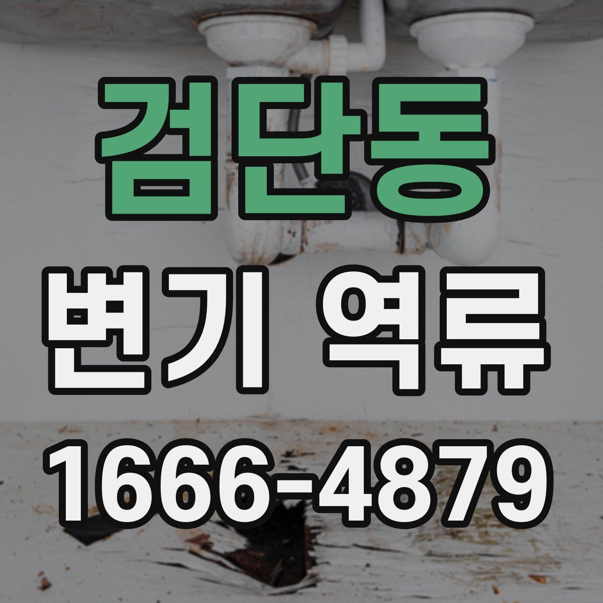 검단동 변기 역류