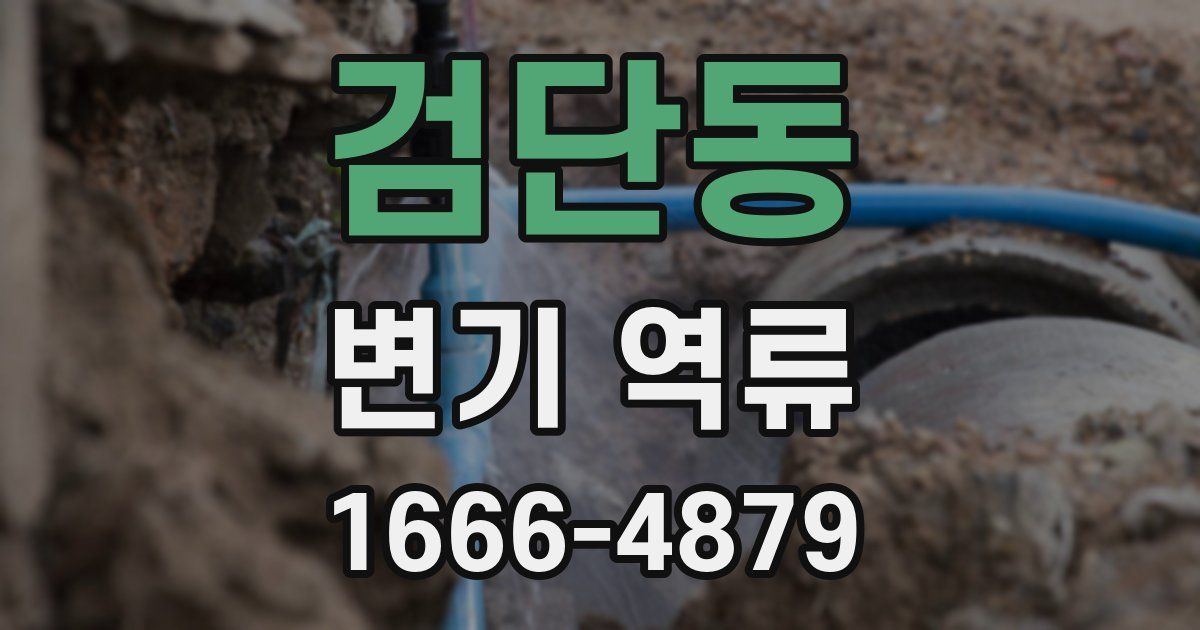 검단동 변기 역류