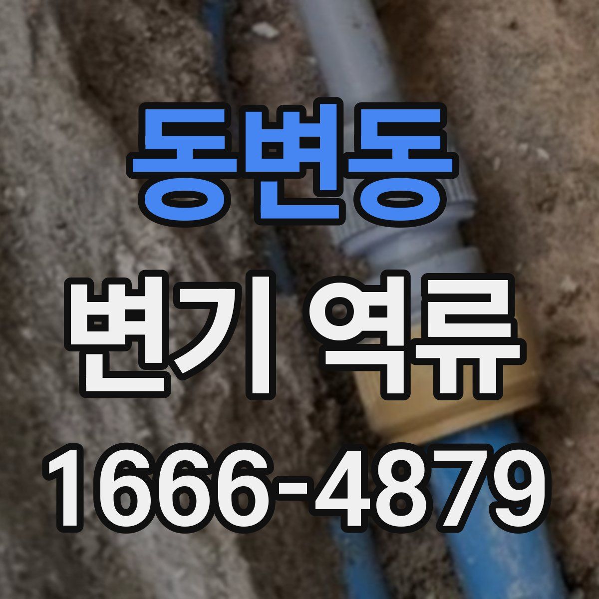 동변동 변기 역류