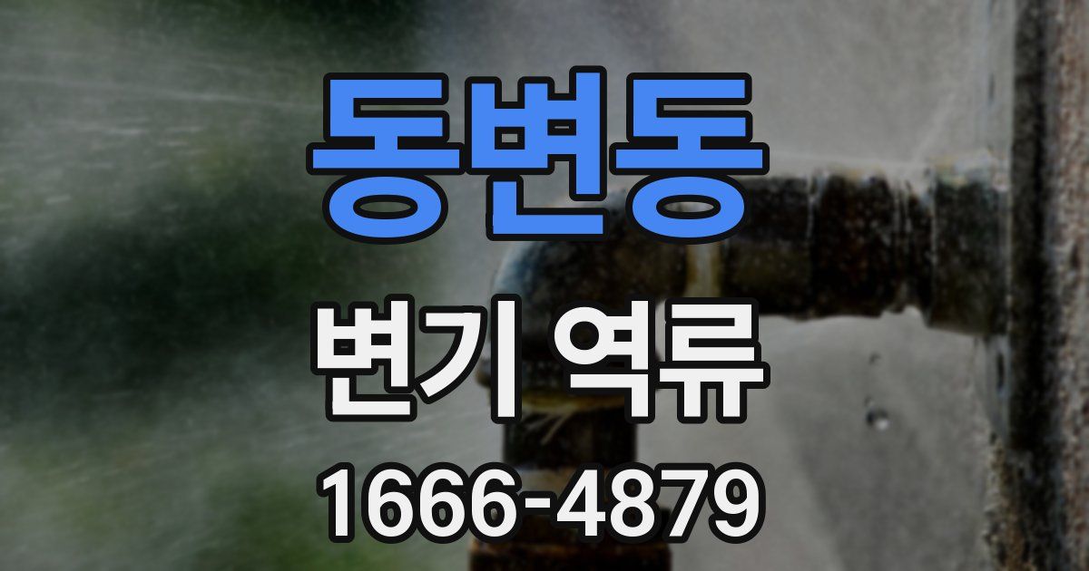 동변동 변기 역류