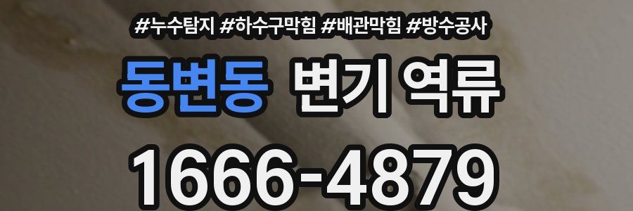 동변동 변기 역류