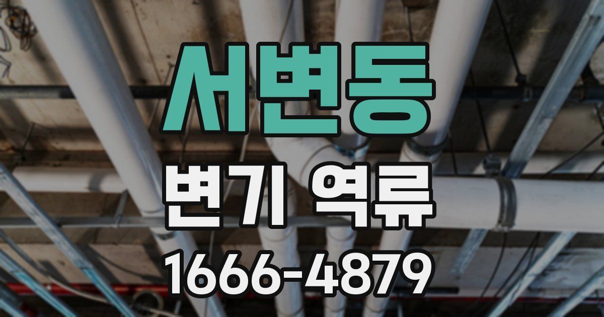 서변동 변기 역류