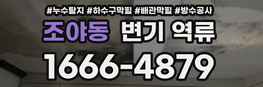 조야동 변기 역류