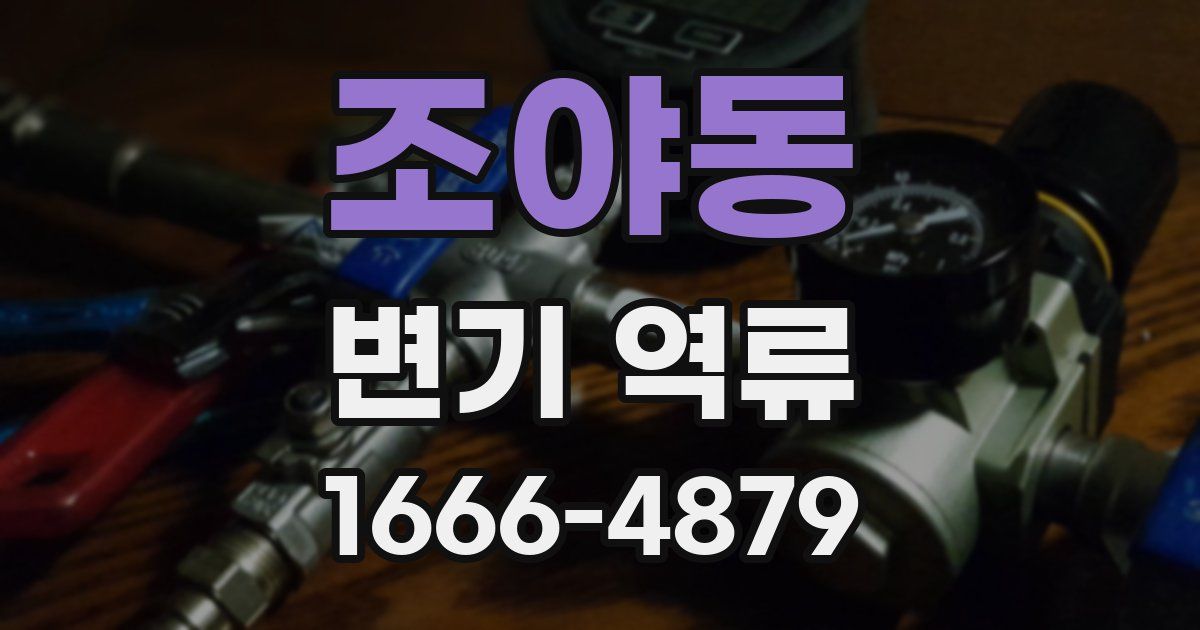 조야동 변기 역류