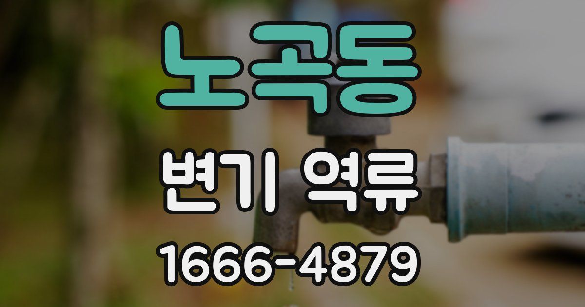 노곡동 변기 역류
