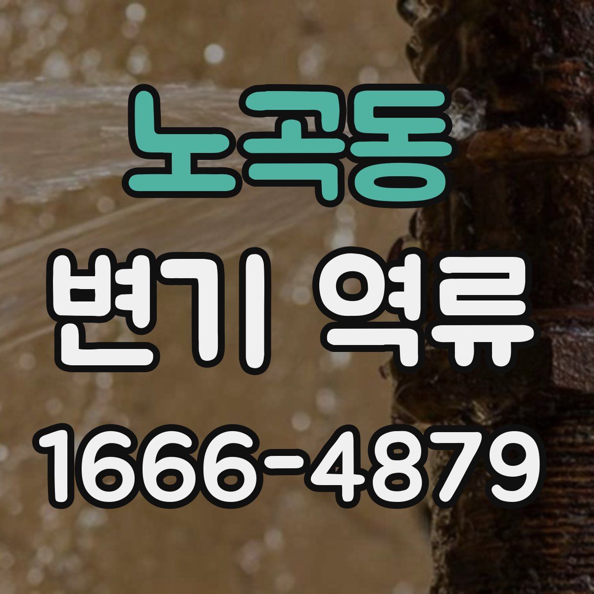 노곡동 변기 역류