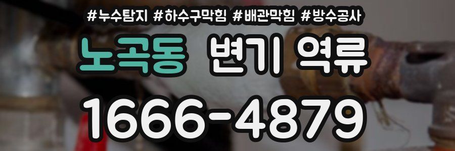 노곡동 변기 역류