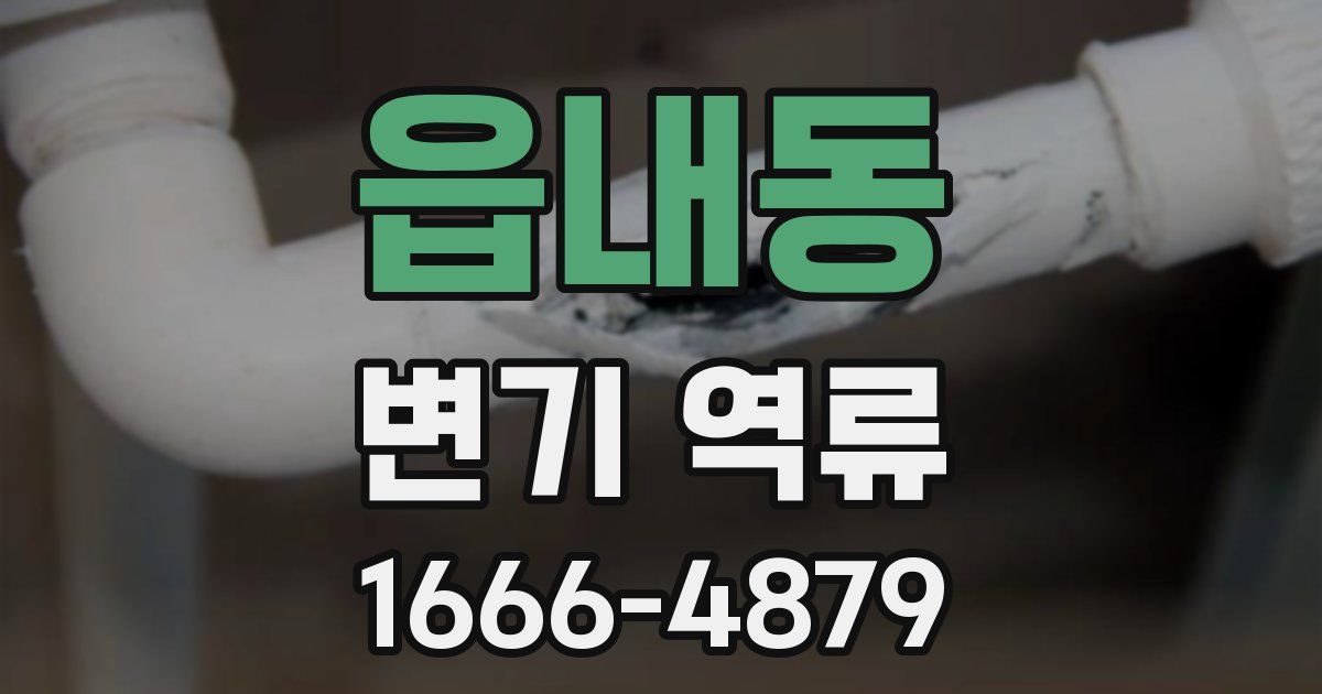 읍내동 변기 역류