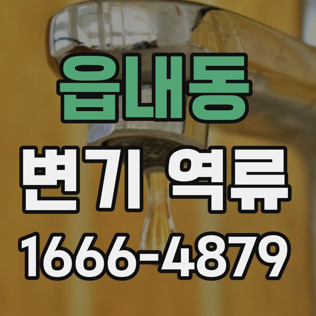 읍내동 변기 역류
