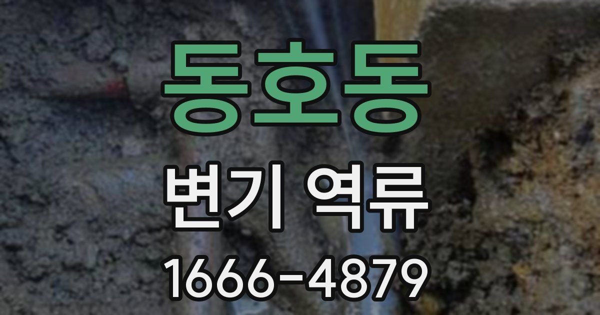 동호동 변기 역류