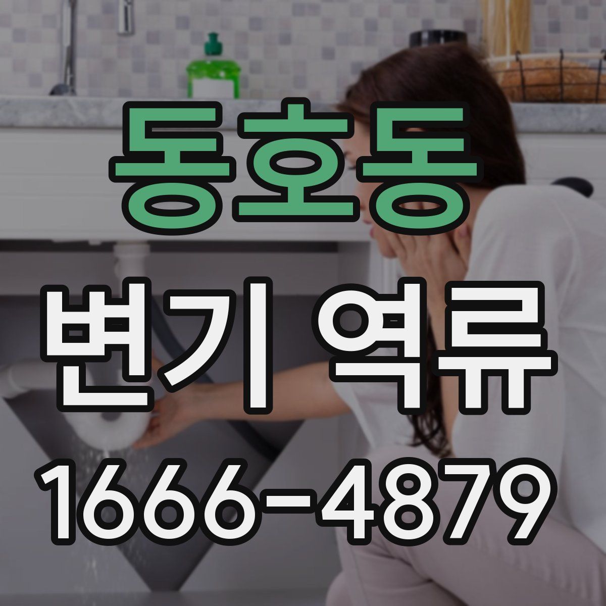 동호동 변기 역류