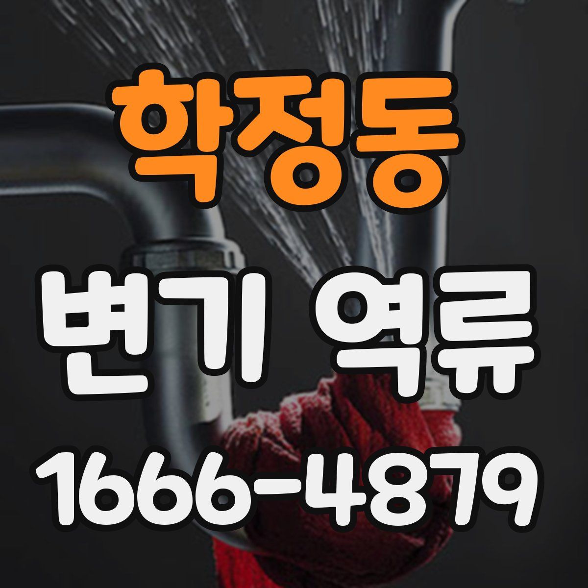 학정동 변기 역류