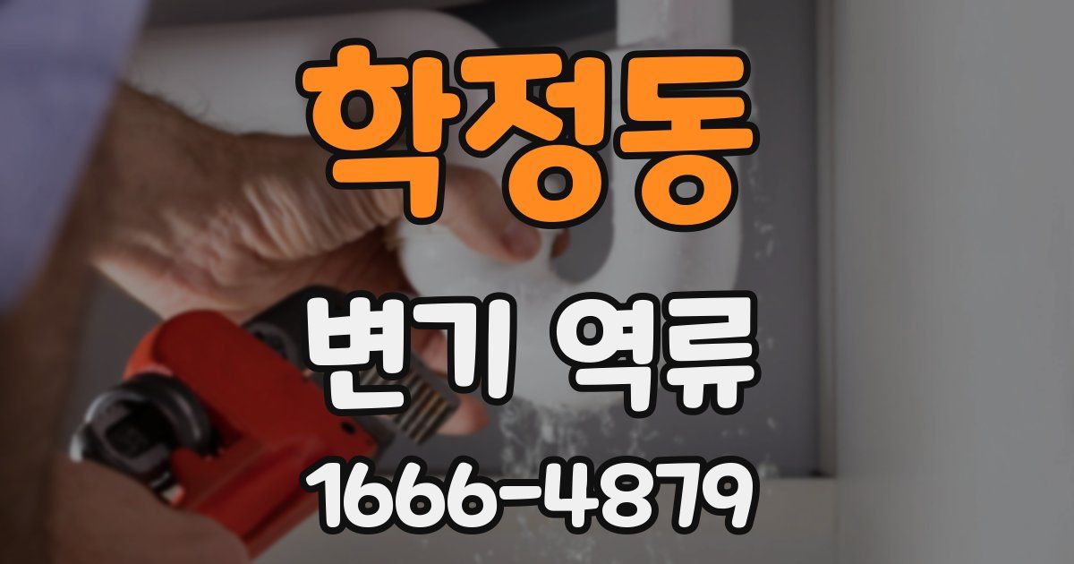학정동 변기 역류