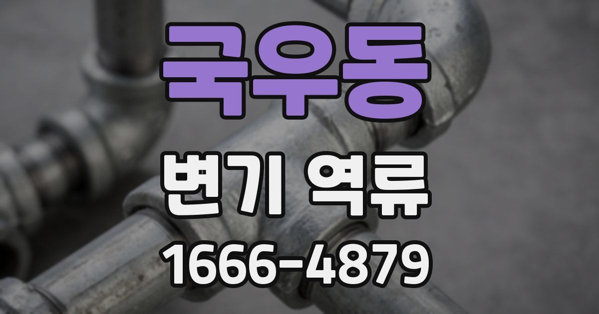 국우동 변기 역류