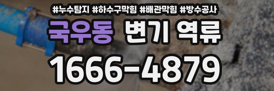국우동 변기 역류