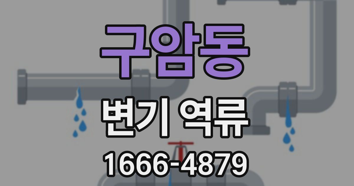 구암동 변기 역류