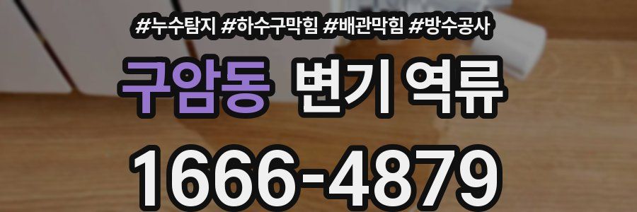 구암동 변기 역류