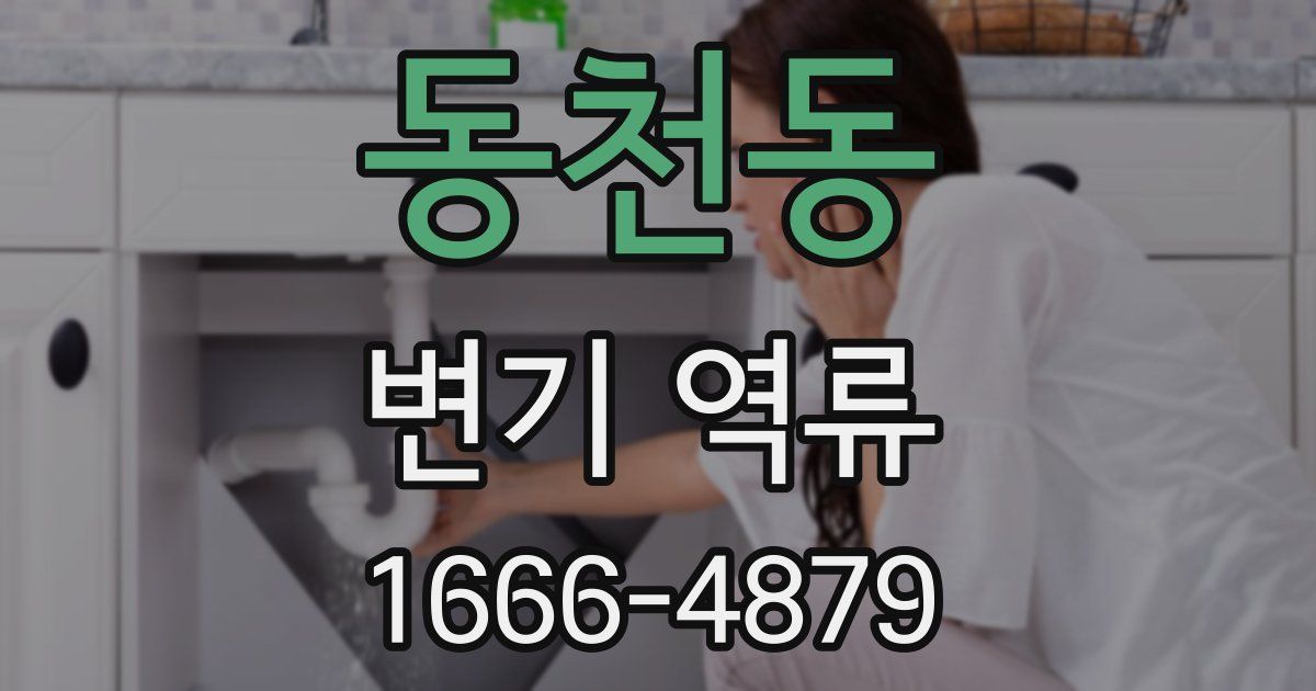 동천동 변기 역류