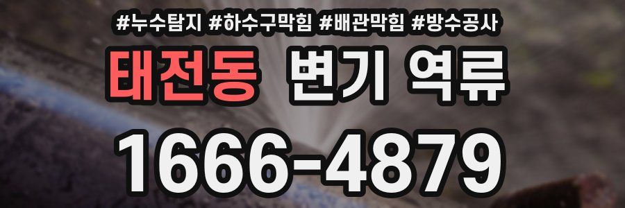 태전동 변기 역류