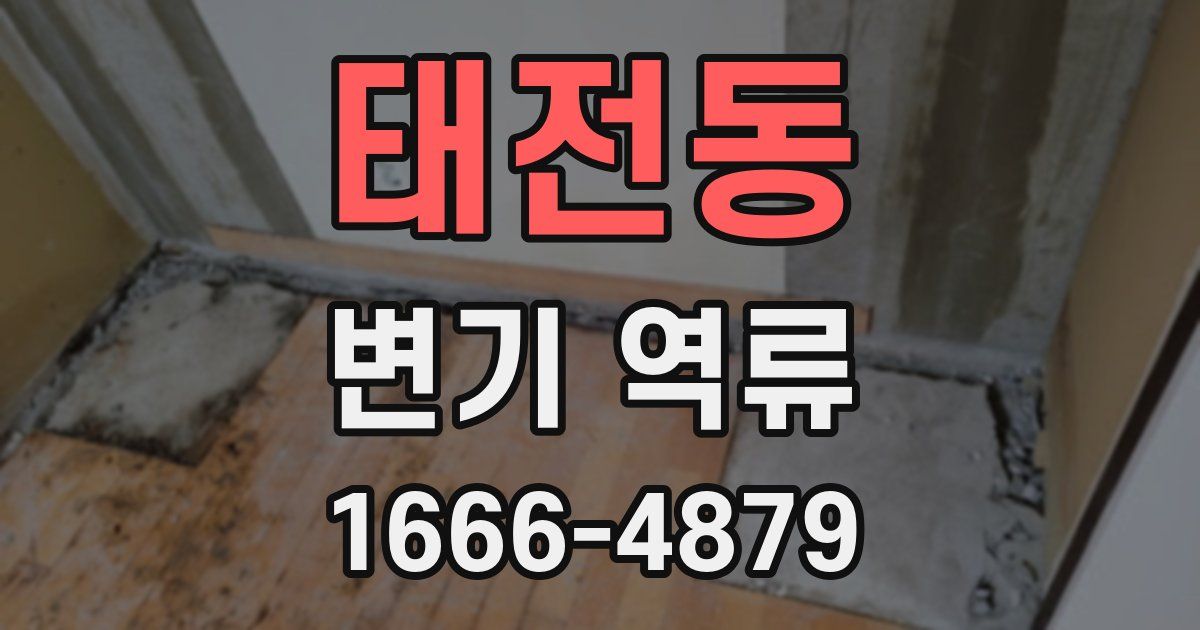 태전동 변기 역류