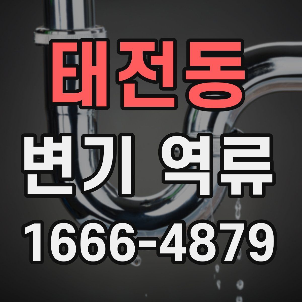 태전동 변기 역류