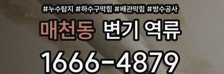 매천동 변기 역류