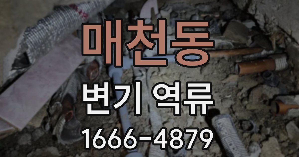 매천동 변기 역류