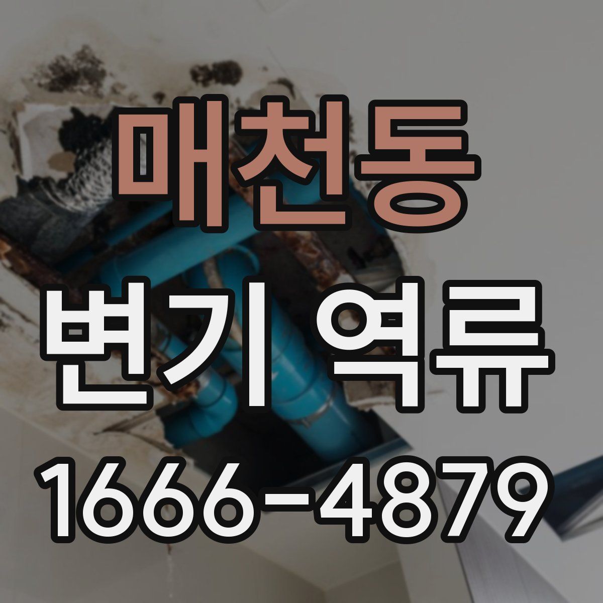 매천동 변기 역류