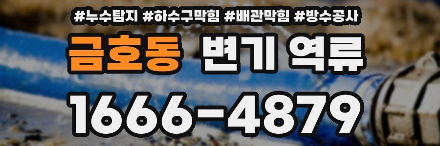 금호동 변기 역류