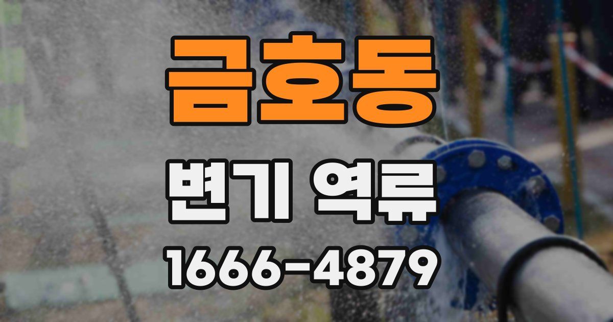 금호동 변기 역류