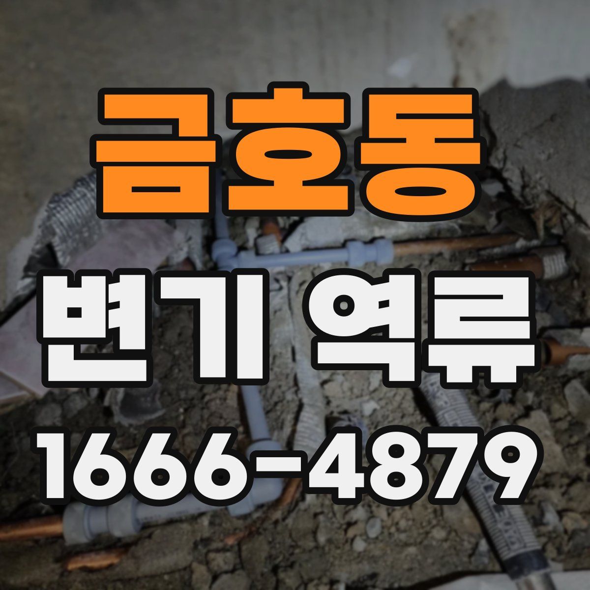 금호동 변기 역류