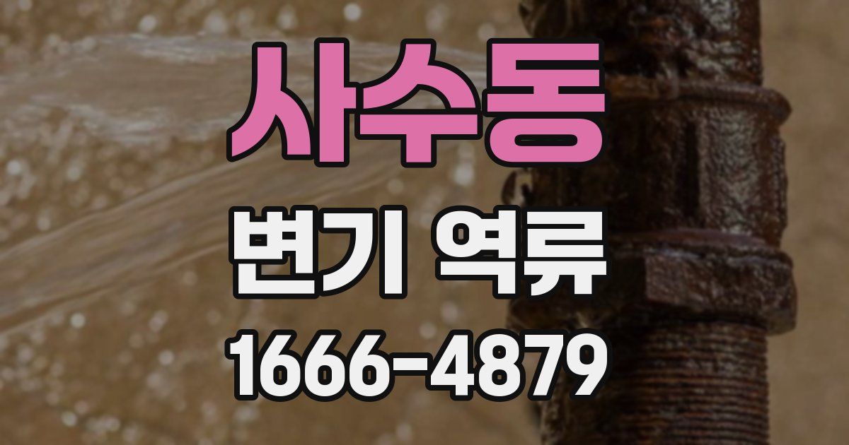 사수동 변기 역류
