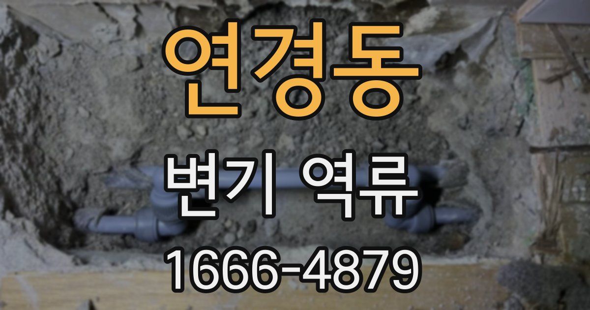 연경동 변기 역류