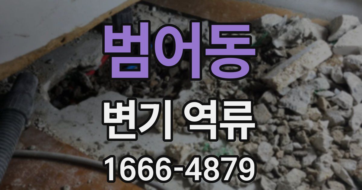 범어동 변기 역류