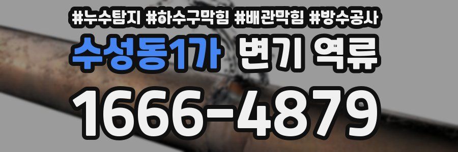 수성동1가 변기 역류