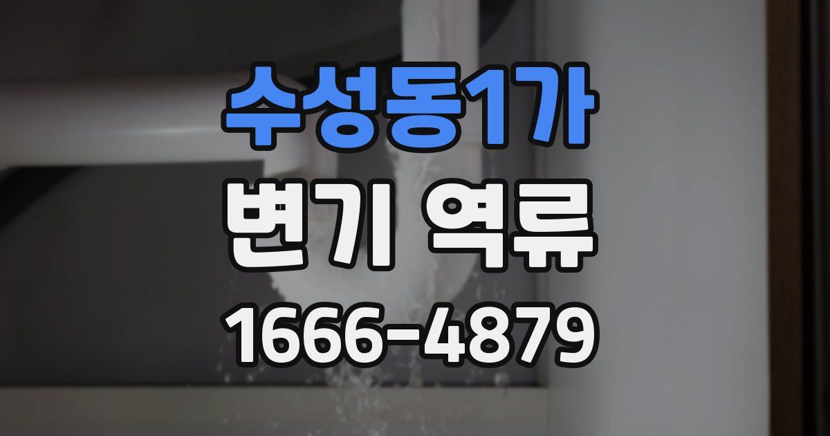 수성동1가 변기 역류