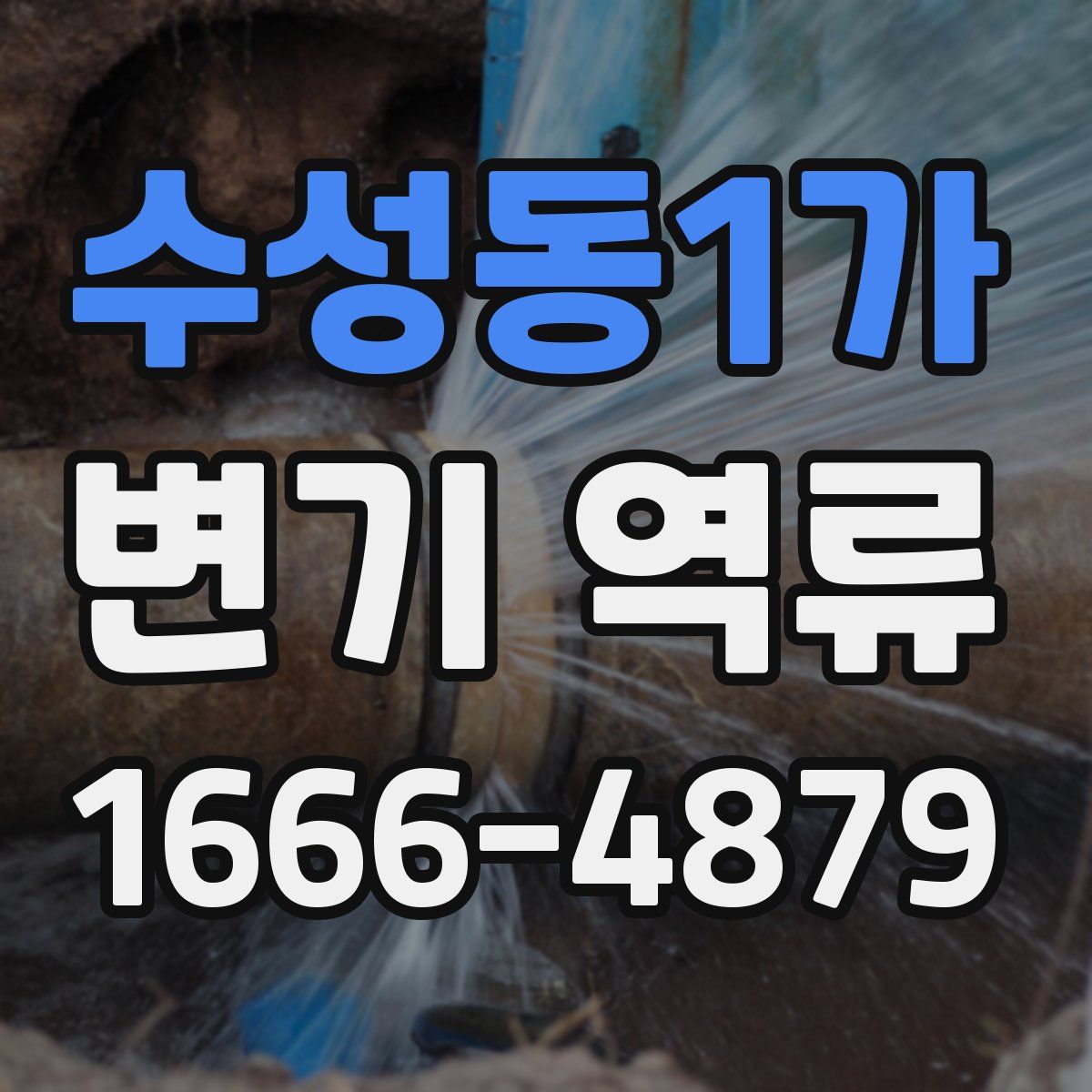 수성동1가 변기 역류