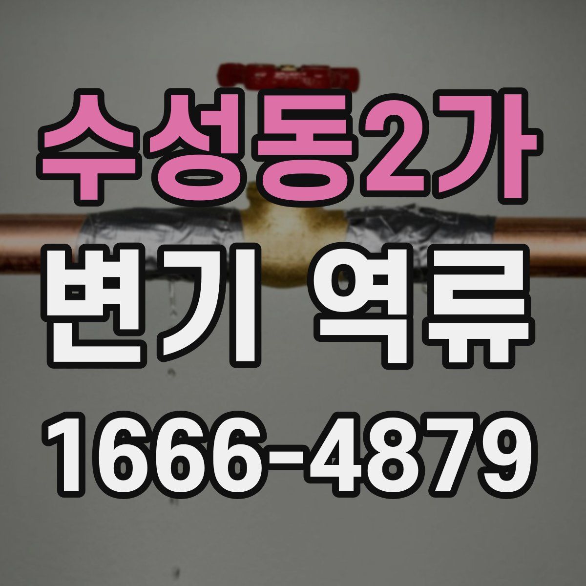 수성동2가 변기 역류